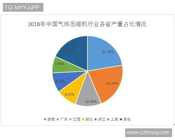 独家解析LNG市场竞争策略与战术对比深度剖析