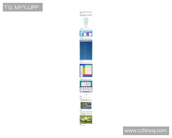 网球灵活性排名揭晓上海网球队荣登第十位引发关注